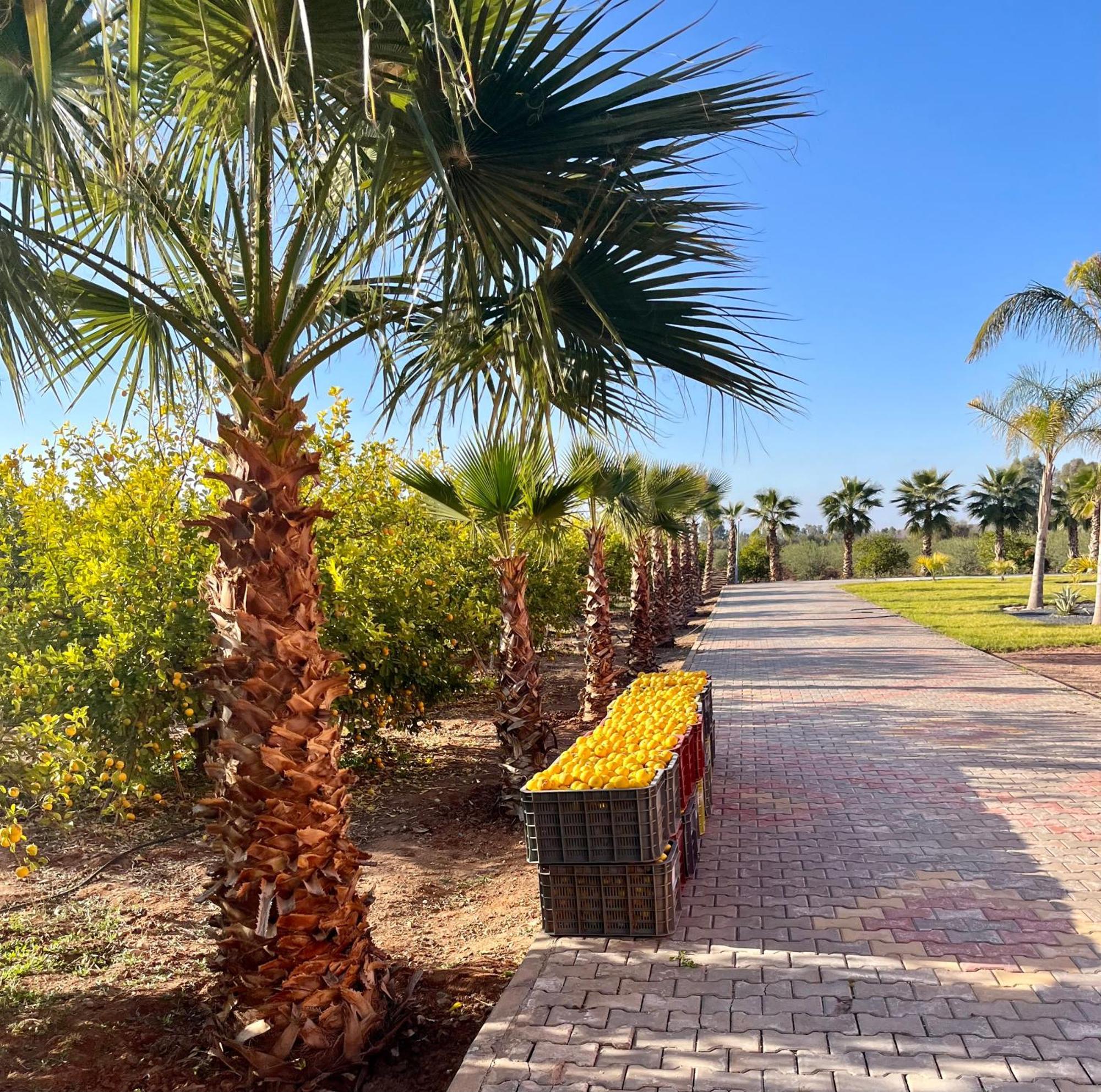 Domaine Bahi Villa Marrakesh Exteriör bild